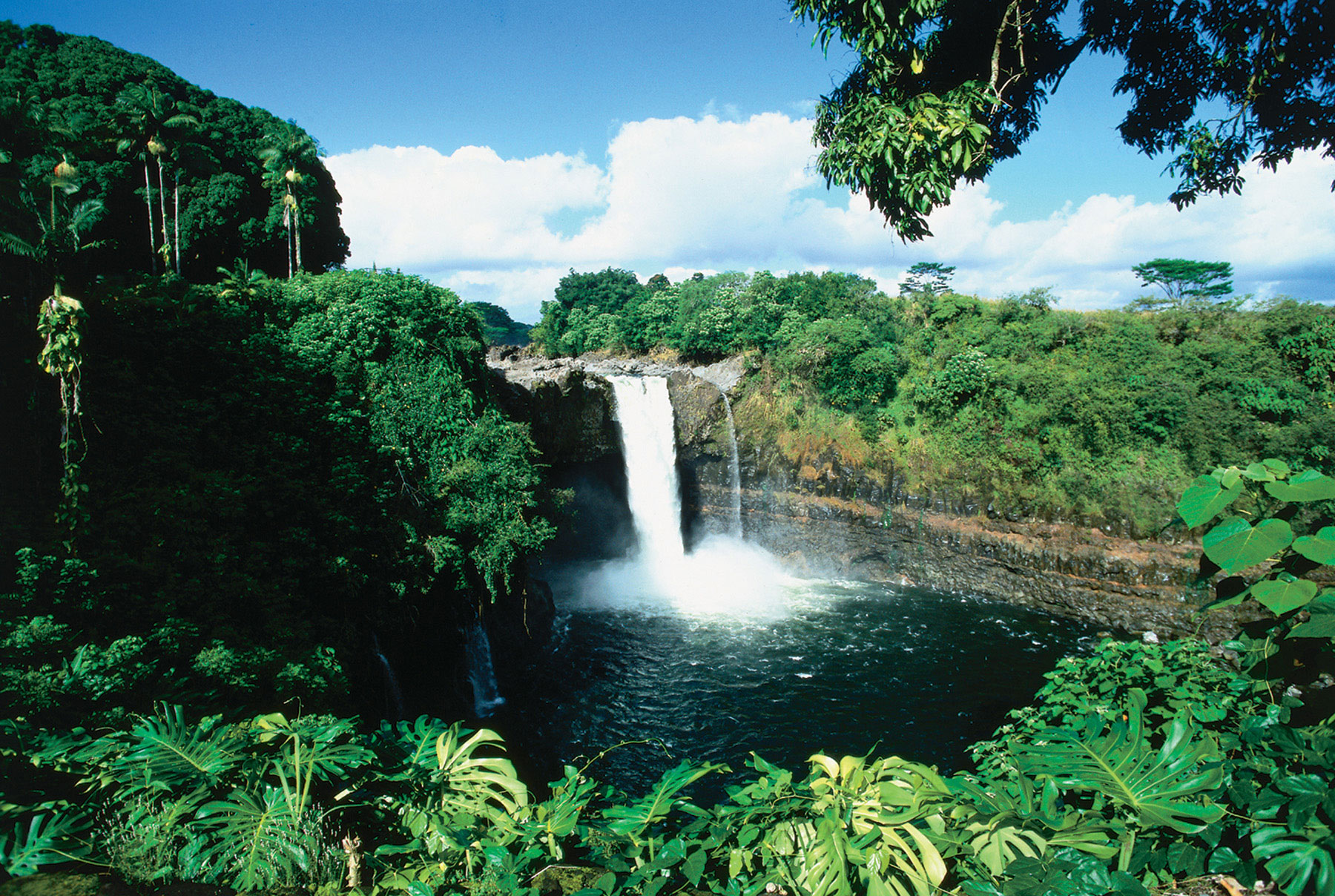 Гавайские острова - леса и водопады